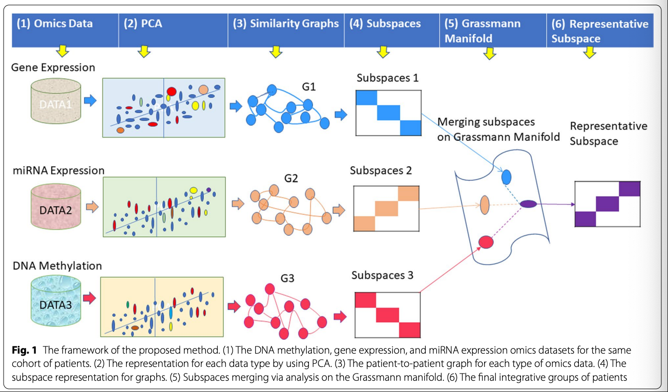 Grassmann Manifold Framework